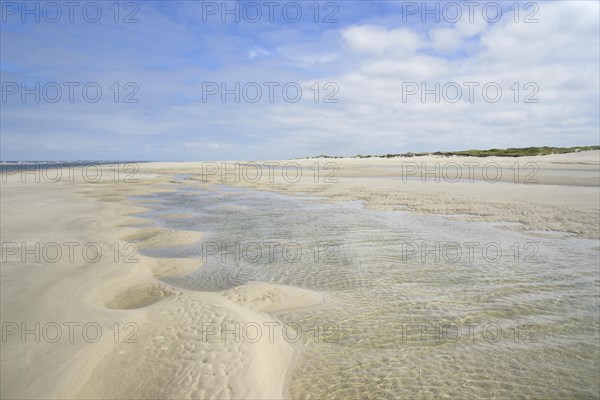 Beach at low tide