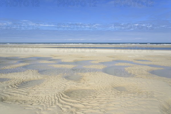 Beach at low tide