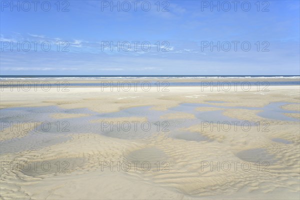 Beach at low tide