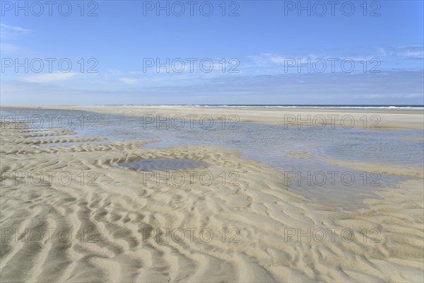 Beach at low tide