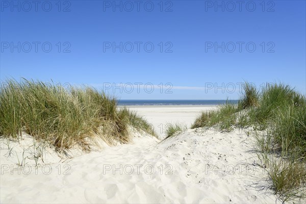 Beach crossing