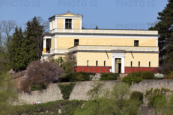 Pompejanum on the high banks of the River Main