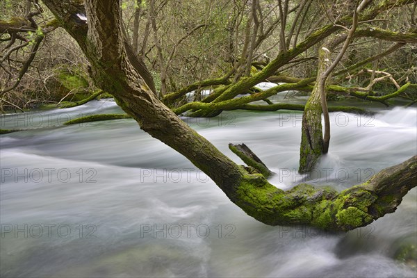 Cedrino River