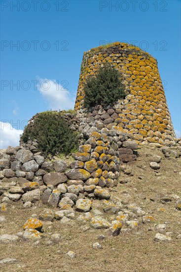 Tower Nuraghe Nuradeo