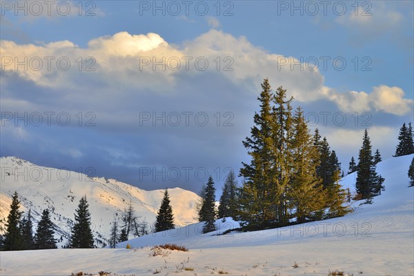 Winter landscape