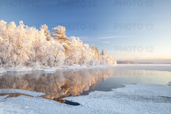 Snow-covered trees reflected in a semi-frozen lake