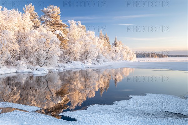 Snow-covered trees reflected in a semi-frozen lake