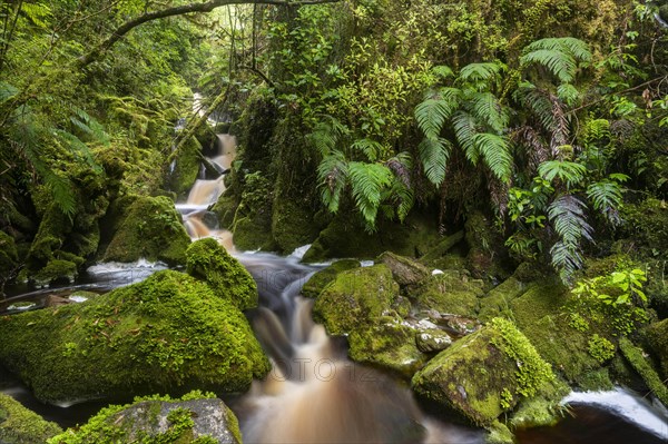 Small waterfall