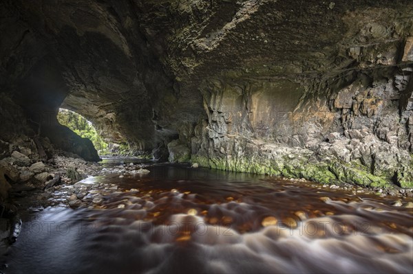 Oparara Arch