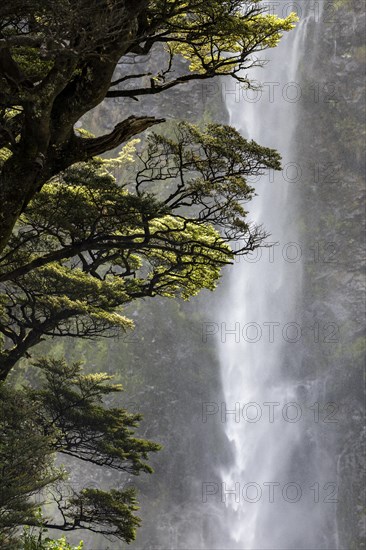 Devil's Punchbowl Waterfall