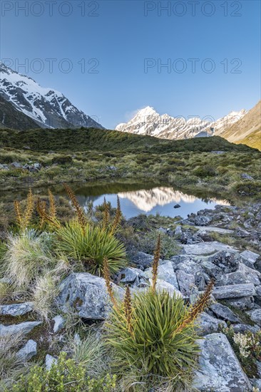 Hooker Valley