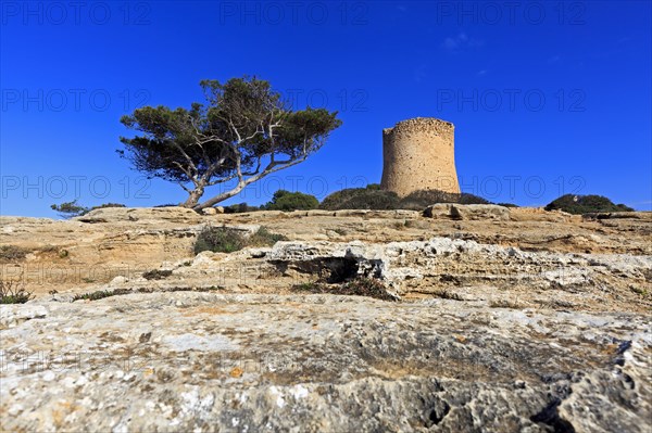 Tower of Cala Pi