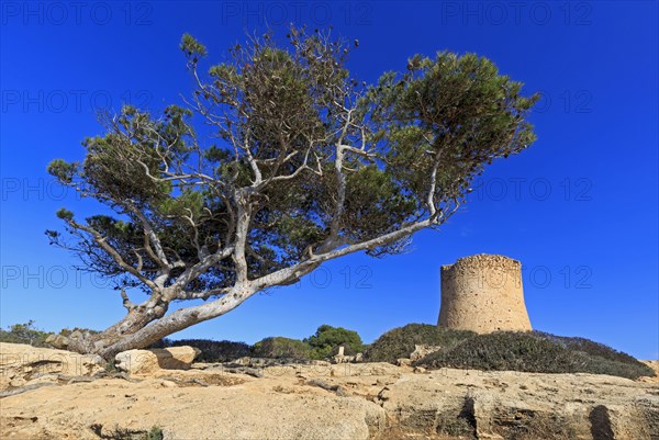 Tower of Cala Pi