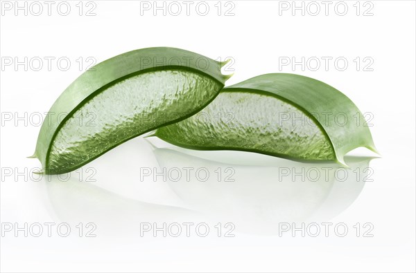 Aloe vera (Aloe vera)