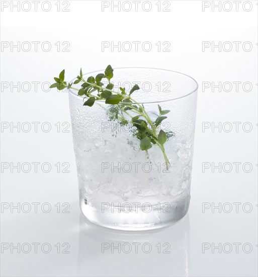 Cocktail glass