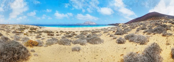 Dune landscape