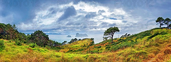 Coastline of Mercury Bay with pine forests and small islands