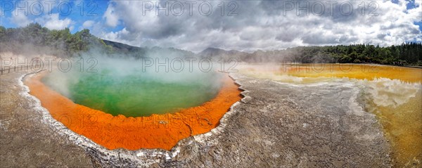 Champagne Pool