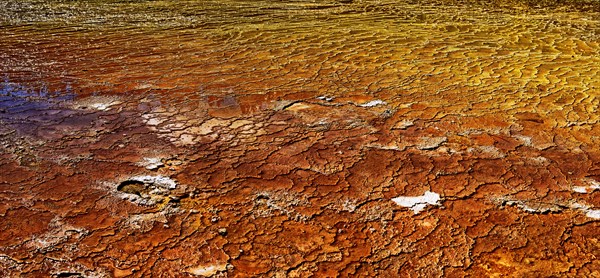 Primrose Terrace in Wai-O-Tapu thermal area