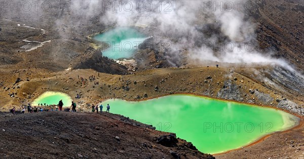 Green sulphurous lakes