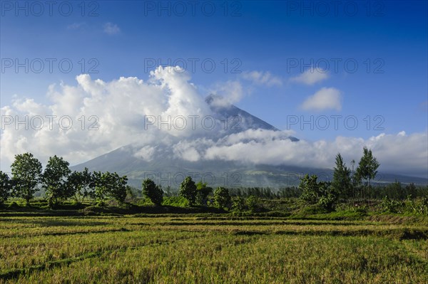 Volcano Mayon