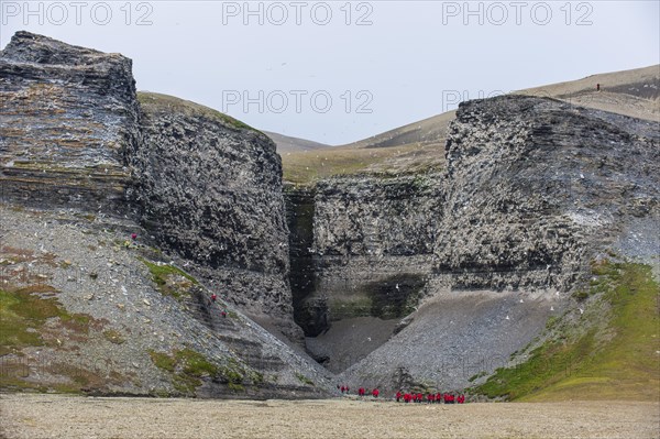 Tourists at the cliffs at Diskobukta with black-legged Kittiwakes (Rissa tridactyla)