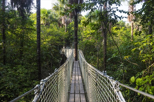 Hanging bridge in the Zoo of Cayenne