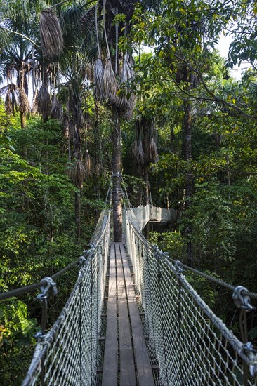 Hanging bridge in the Zoo of Cayenne