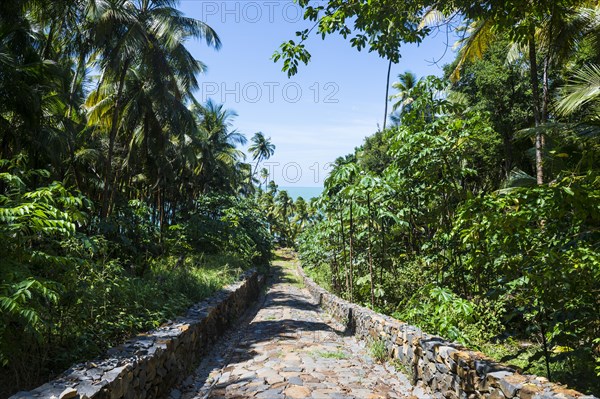 Former political Prison camp on Saint Joseph island