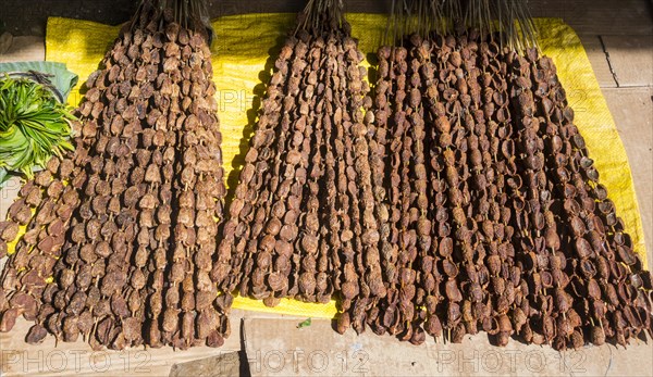 Betel nuts (Areca catechu) for sale in a market in Maubisse