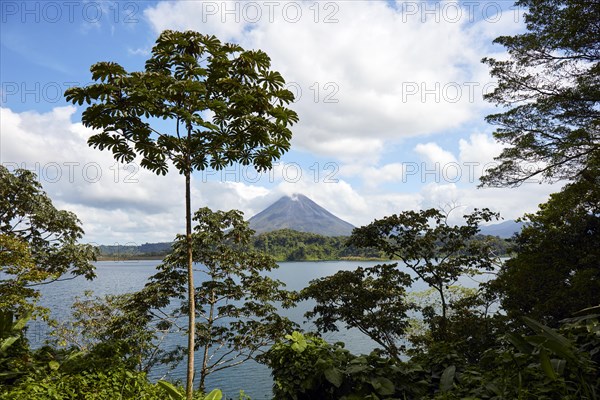 Lake Arenal and Volcano Arena in Costa Rica