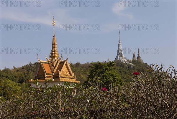 Vipassana Dhura Buddhist Meditation Center