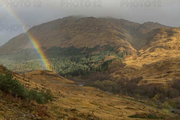 Rainbow rainbow range in autumn colours