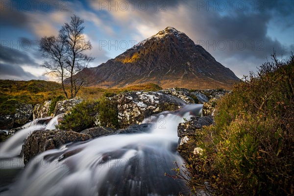 Small waterfall with Birch (Betula) and summit of Stob Dearg in the background