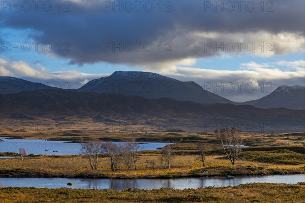 Moor landscape with cloudy sky and mountains in the background