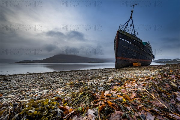 Ship wreck at Loch Eil with coloured leaves in the foreground