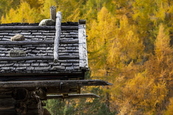 Mountain hut