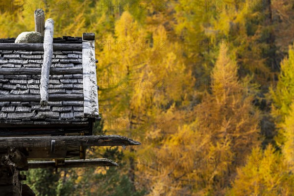 Mountain hut