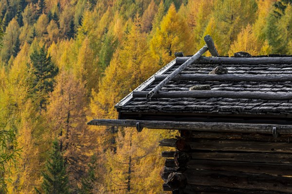 Mountain hut