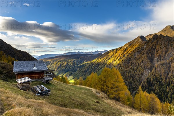 Mountain hut over valley with autumnal mountain larch forest (Larix decidua)