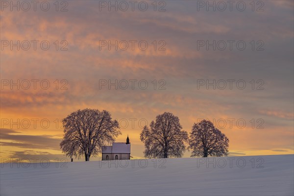 Chapel 14 emergency helpers with old trees in snow-covered landscape at sunrise