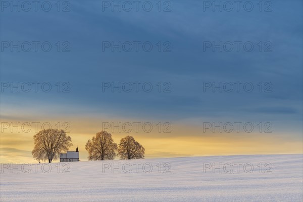 Chapel 14 emergency helpers with old trees in snow-covered landscape at sunrise