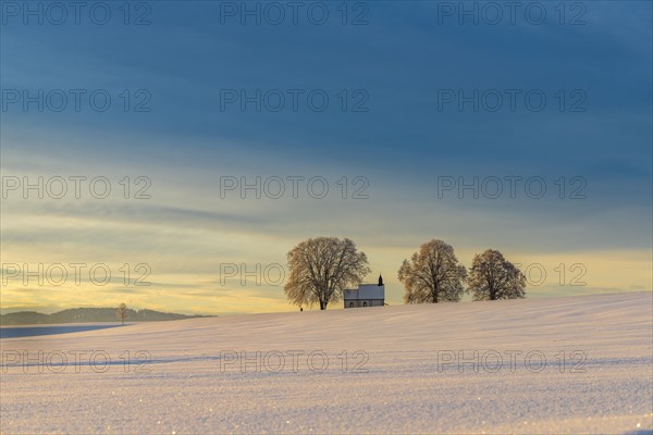 Chapel 14 emergency helpers with old trees in snow-covered landscape at sunrise