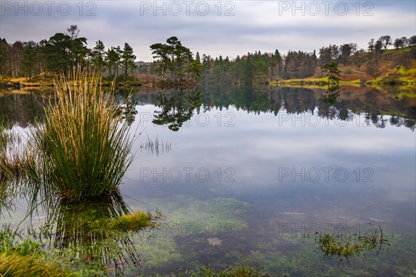 Autumnal forest landscape with reflection in lake