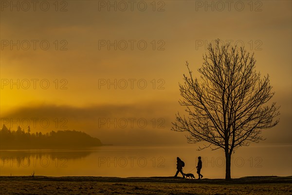 Tree with walkers on lakeshore at sunrise