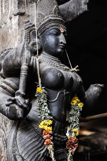 War Goddess Meenakshi