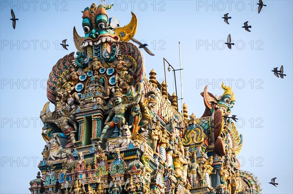 Doves flying around the Sri Meenakshi Sundareshwarar temple