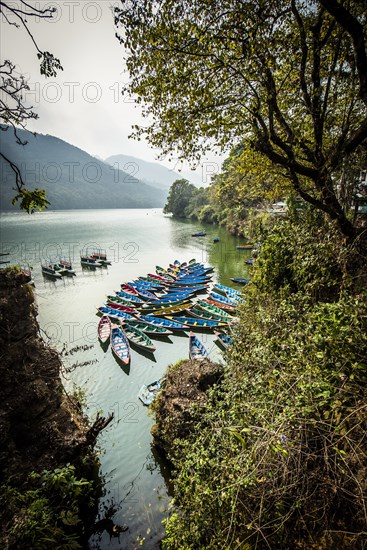 Colorful boats on Phewa Lake