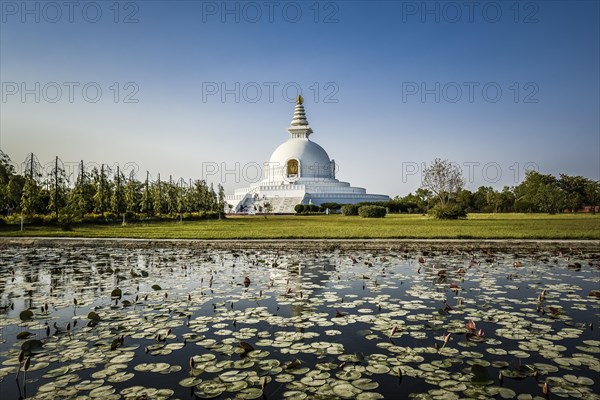 Japanese Peace Pagoda