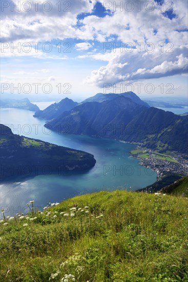 View from the Fronalpstock